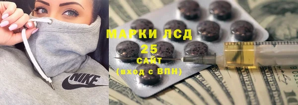 индика Бугульма
