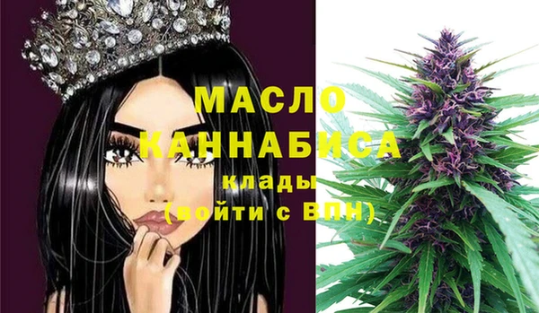 индика Бугульма
