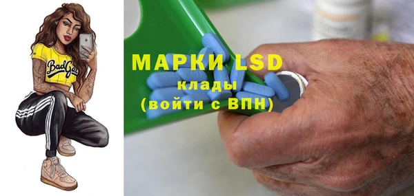 индика Бугульма
