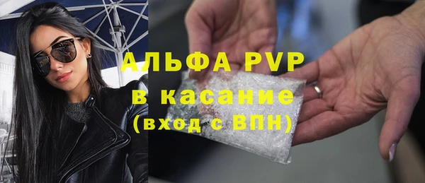 индика Бугульма