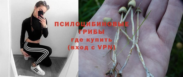 spice Богданович