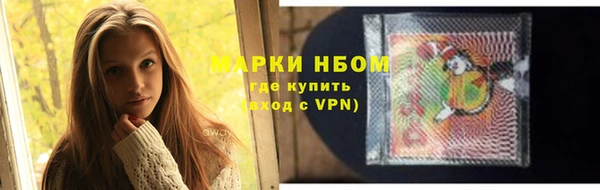 индика Бугульма