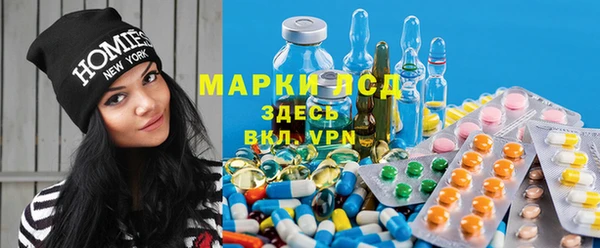 стаф Сатка