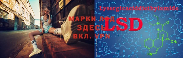 PSILOCYBIN Саяногорск
