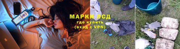 стаф Сатка