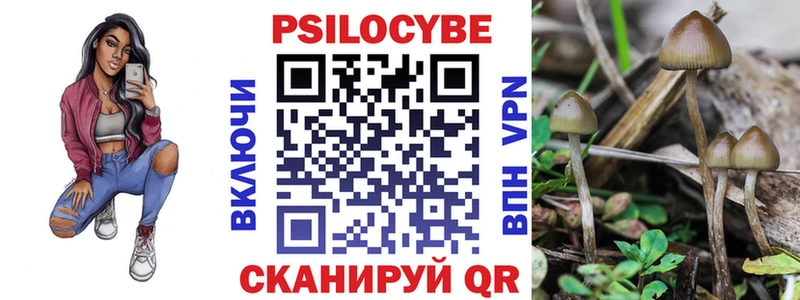 Галлюциногенные грибы Magic Shrooms  закладка  Сретенск 